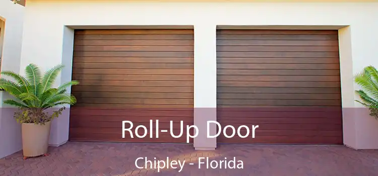 Roll-Up Door Chipley - Florida