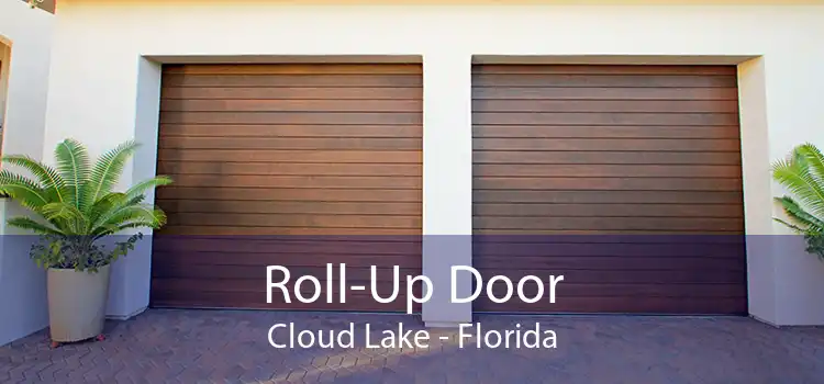 Roll-Up Door Cloud Lake - Florida
