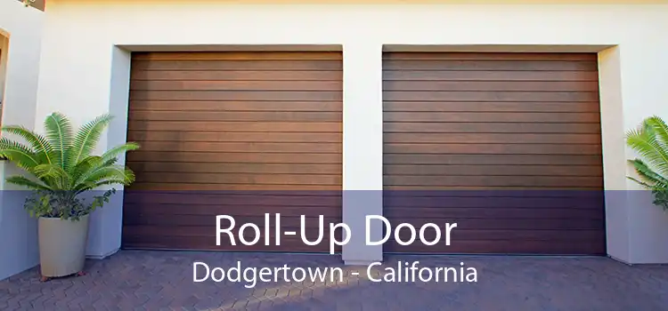 Roll-Up Door Dodgertown - California