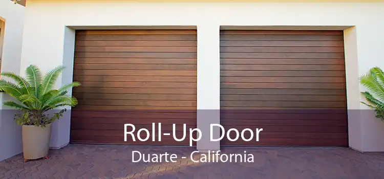 Roll-Up Door Duarte - California