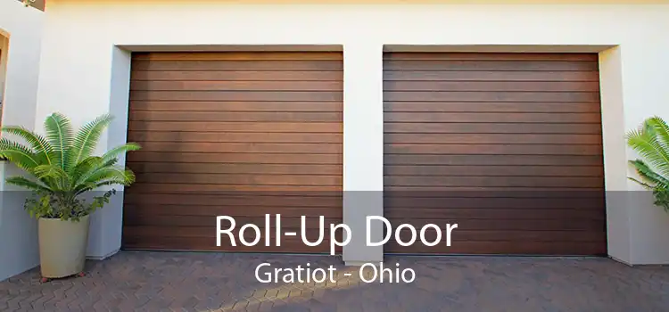 Roll-Up Door Gratiot - Ohio