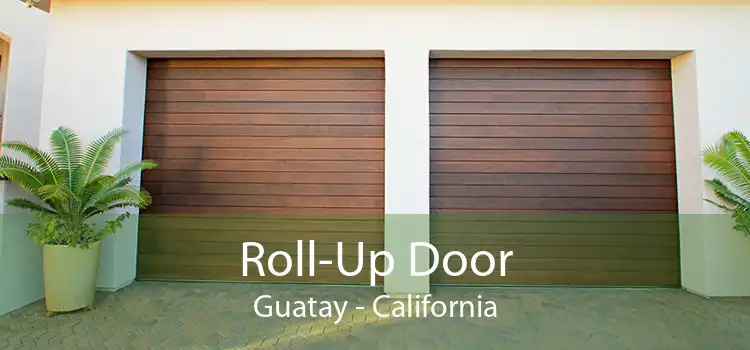 Roll-Up Door Guatay - California