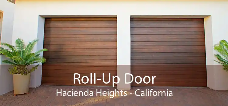 Roll-Up Door Hacienda Heights - California