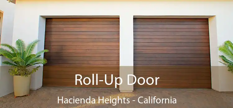 Roll-Up Door Hacienda Heights - California