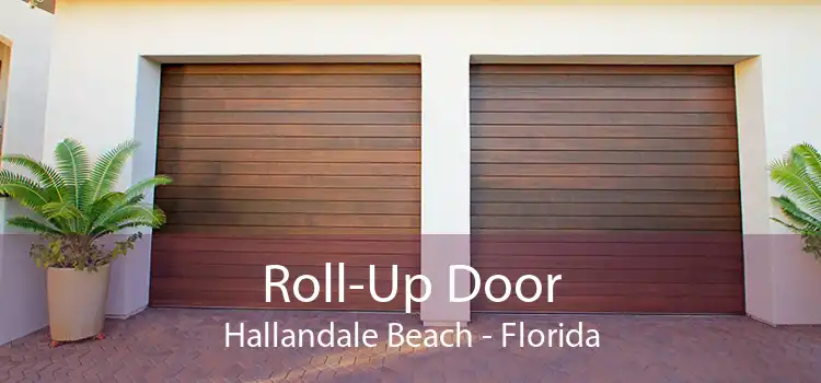 Roll-Up Door Hallandale Beach - Florida