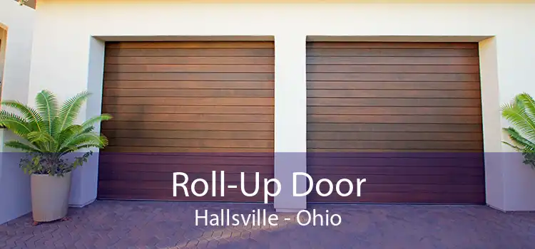 Roll-Up Door Hallsville - Ohio