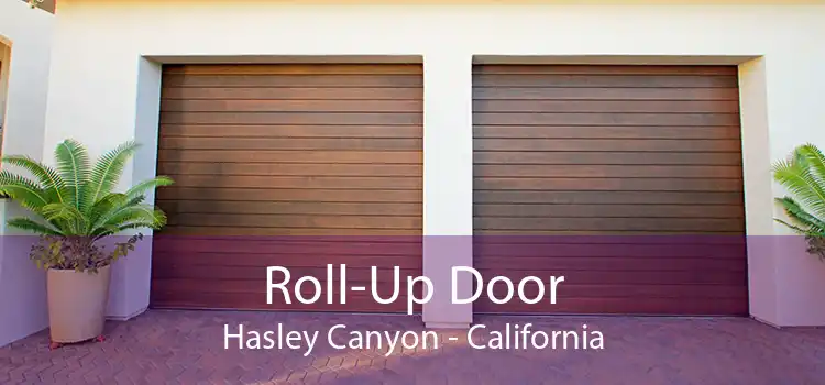Roll-Up Door Hasley Canyon - California