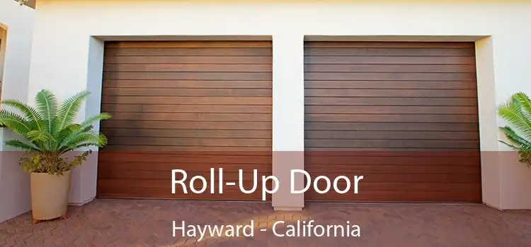 Roll-Up Door Hayward - California