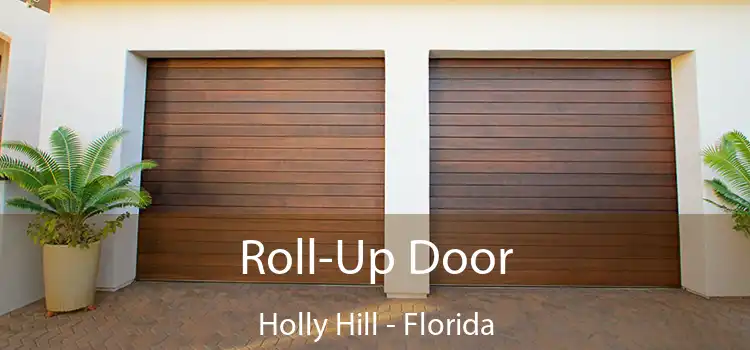 Roll-Up Door Holly Hill - Florida