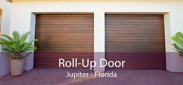 Roll-Up Door Jupiter - Florida