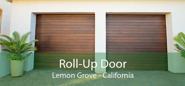 Roll-Up Door Lemon Grove - California