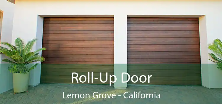 Roll-Up Door Lemon Grove - California