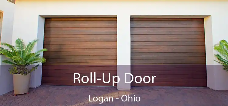 Roll-Up Door Logan - Ohio