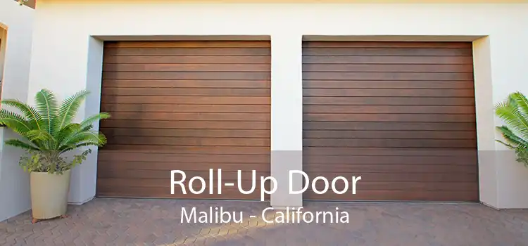 Roll-Up Door Malibu - California