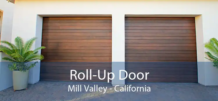 Roll-Up Door Mill Valley - California