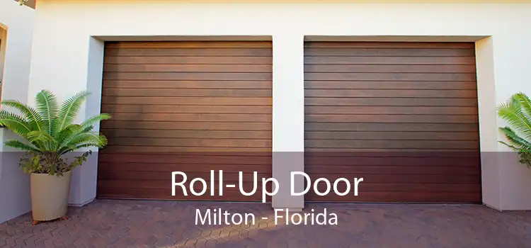 Roll-Up Door Milton - Florida
