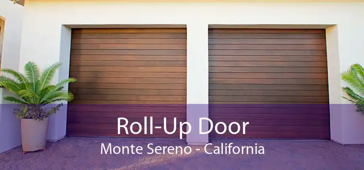 Roll-Up Door Monte Sereno - California