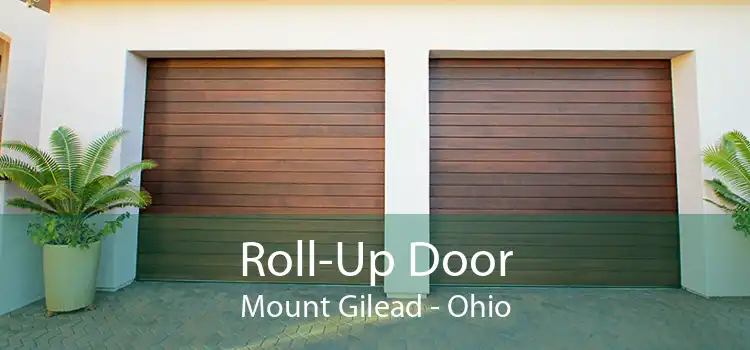 Roll-Up Door Mount Gilead - Ohio