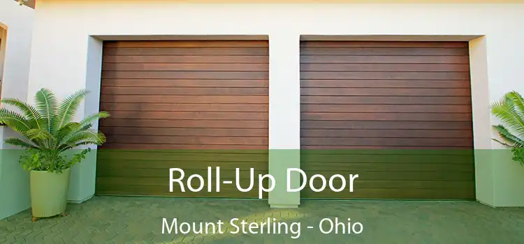 Roll-Up Door Mount Sterling - Ohio