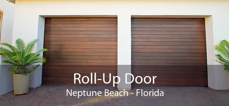 Roll-Up Door Neptune Beach - Florida