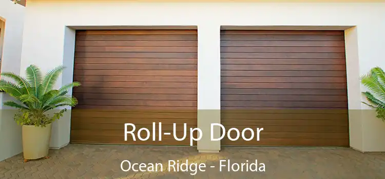 Roll-Up Door Ocean Ridge - Florida