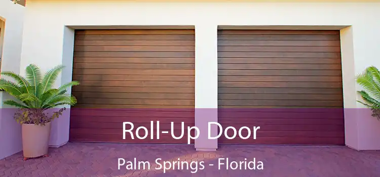 Roll-Up Door Palm Springs - Florida