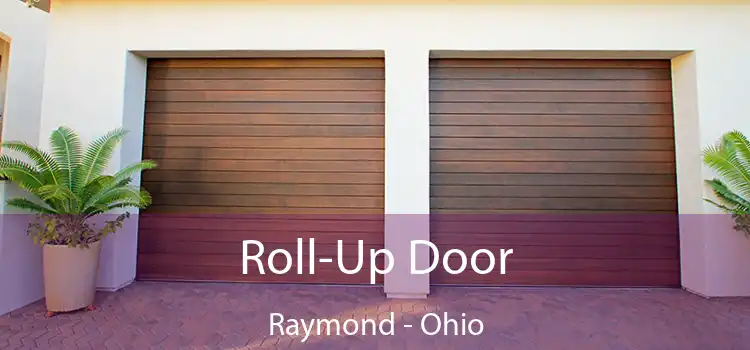 Roll-Up Door Raymond - Ohio