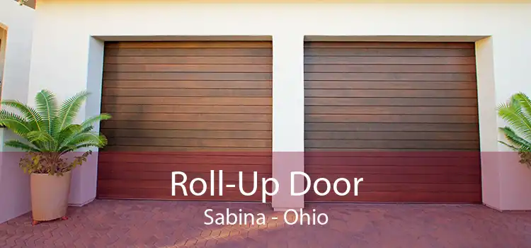 Roll-Up Door Sabina - Ohio