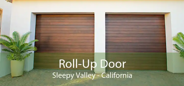 Roll-Up Door Sleepy Valley - California