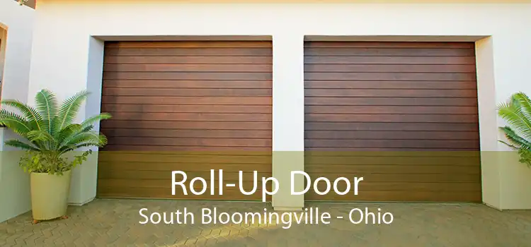 Roll-Up Door South Bloomingville - Ohio