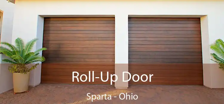 Roll-Up Door Sparta - Ohio