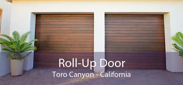 Roll-Up Door Toro Canyon - California
