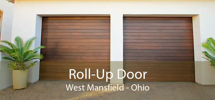Roll-Up Door West Mansfield - Ohio