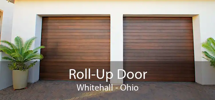 Roll-Up Door Whitehall - Ohio