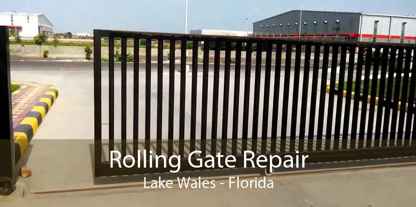 Rolling Gate Repair Lake Wales - Florida