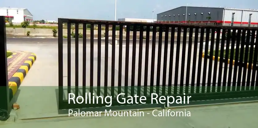 Rolling Gate Repair Palomar Mountain - California