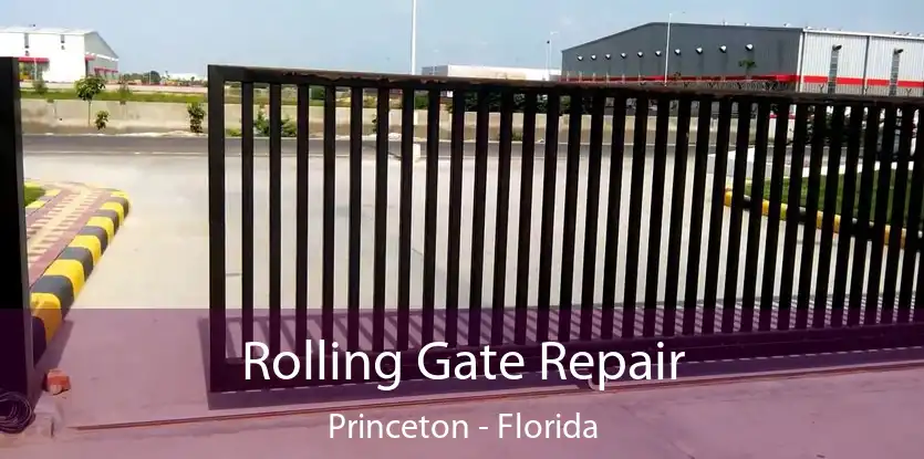 Rolling Gate Repair Princeton - Florida