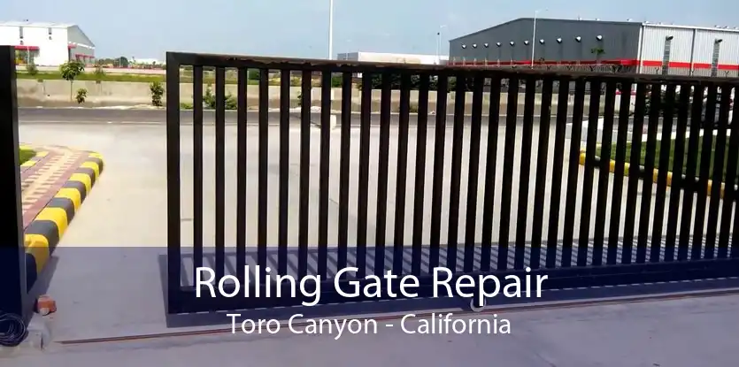 Rolling Gate Repair Toro Canyon - California
