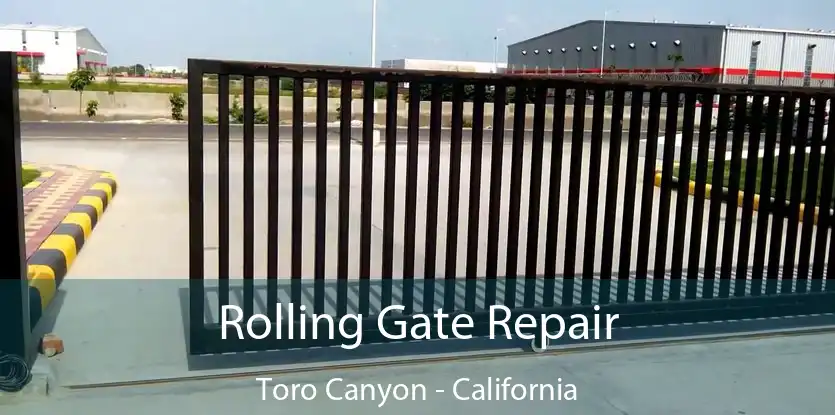 Rolling Gate Repair Toro Canyon - California