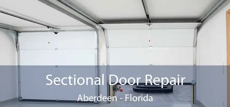 Sectional Door Repair Aberdeen - Florida