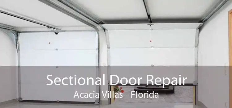 Sectional Door Repair Acacia Villas - Florida