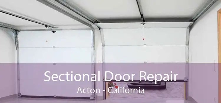 Sectional Door Repair Acton - California