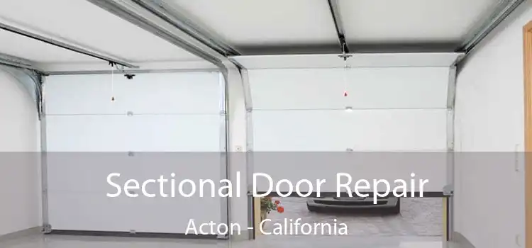 Sectional Door Repair Acton - California