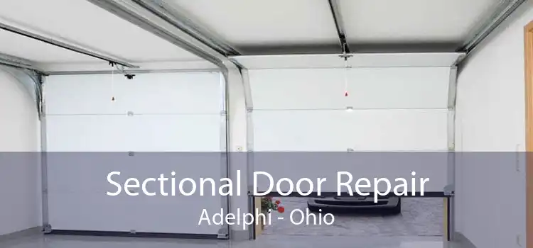 Sectional Door Repair Adelphi - Ohio