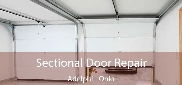 Sectional Door Repair Adelphi - Ohio