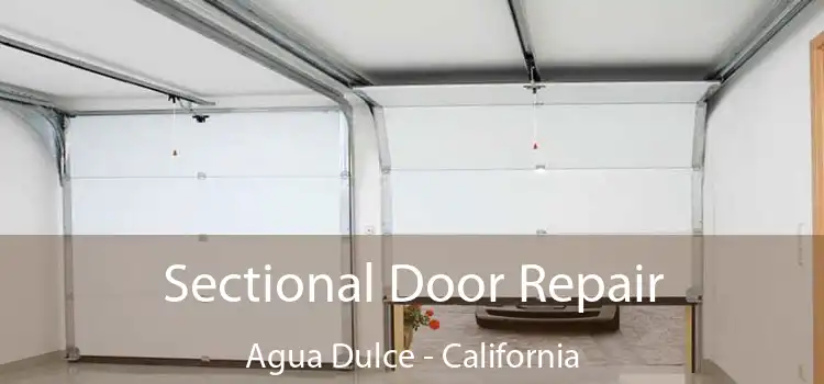 Sectional Door Repair Agua Dulce - California