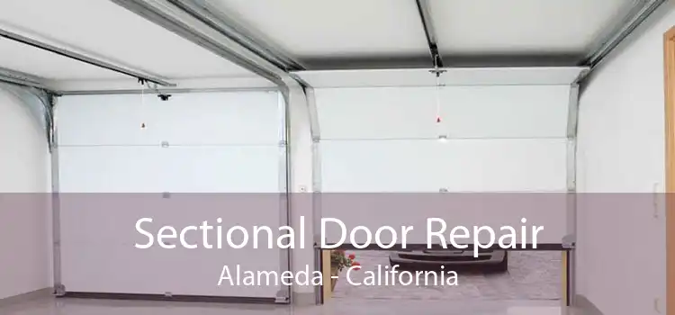 Sectional Door Repair Alameda - California