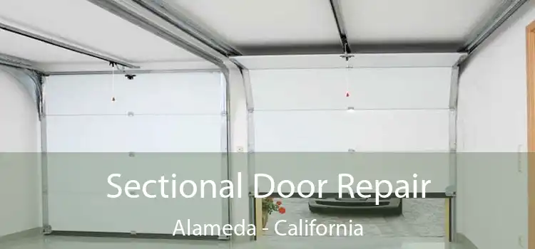 Sectional Door Repair Alameda - California