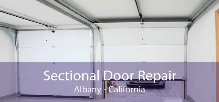 Sectional Door Repair Albany - California