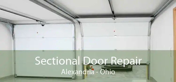 Sectional Door Repair Alexandria - Ohio